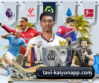 开云体育 APP（kaiyun）